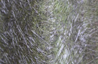 Eggbeare fibreglass roof work